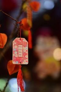 phiên bản F8bet mới nhất